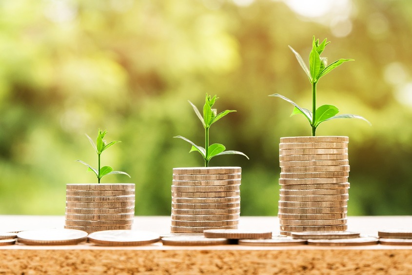 SALARIO MINIMO INTERPROFESIONAL. 2024